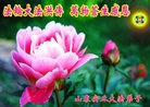 Published on 5/13/2012 ֹ,½󷨵ӹش󷨺鴫ʮ(99) - ִ
