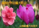 Published on 5/13/2012 ֹ,½󷨵ӹش󷨺鴫ʮ(99) - ִ
