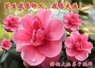 Published on 5/13/2012 ֹ,½󷨵ӹش󷨺鴫ʮ(99) - ִ
