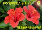 Published on 5/13/2012 ֹ,½󷨵ӹش󷨺鴫ʮ(99) - ִ
