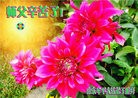 Published on 5/13/2012 ֹ,½󷨵ӹش󷨺鴫ʮ(99) - ִ
