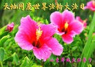 Published on 5/13/2012 ֹ,½󷨵ӹش󷨺鴫ʮ(99) - ִ
