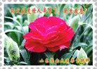 Published on 5/13/2012 ֹ,½󷨵ӹش󷨺鴫ʮ(99) - ִ
