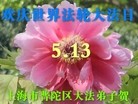 Published on 5/8/2012 ֹ,󷨵Ӻʦ𻪵߷ִ - ִ
