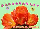 Published on 5/8/2012 ֹ,󷨵Ӻʦ𻪵߷ִ - ִ
