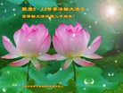 Published on 5/8/2012 ֹ,󷨵ӹطִ󷨺鴫ʮ - ִ
