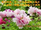 Published on 5/14/2012 ֹ,󷨵Ӻʦ𻪵߷ִ - ִ
