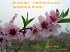 Published on 5/13/2012 ֹ,󷨵ӹطִ󷨺鴫ʮ - ִ
