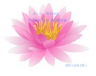 Published on 5/12/2012 ֹ,󷨵ӹطִ󷨺鴫ʮ - ִ
