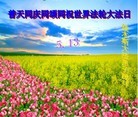 Published on 5/14/2012 ֹ,󷨵Ӻʦ𻪵߷ִ - ִ
