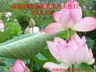 Published on 5/13/2012 ֹ,½󷨵ӹش󷨺鴫ʮ(128) - ִ
