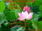 Published on 5/13/2012 ֹ,½󷨵ӹش󷨺鴫ʮ(128) - ִ
