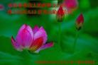 Published on 5/13/2012 ֹ,½󷨵ӹش󷨺鴫ʮ(128) - ִ

