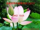 Published on 5/13/2012 ֹ,½󷨵ӹش󷨺鴫ʮ(128) - ִ
