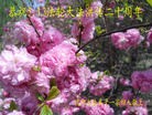 Published on 5/13/2012 ֹ,½󷨵ӹش󷨺鴫ʮ(120) - ִ
