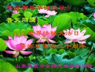 Published on 5/8/2012 ֹ,󷨵Ӻʦ𻪵߷ִ - ִ
