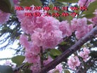 Published on 5/13/2012 ֹ,½󷨵ӹش󷨺鴫ʮ(94) - ִ
