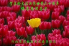 Published on 5/13/2012 ֹ,½󷨵ӹش󷨺鴫ʮ(94) - ִ

