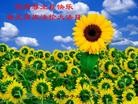 Published on 5/13/2012 ֹ,½󷨵ӹش󷨺鴫ʮ(105) - ִ
