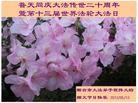 Published on 5/8/2012 ֹ,󷨵Ӻʦ𻪵߷ִ - ִ
