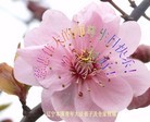 Published on 5/13/2012 ֹ,½󷨵ӹش󷨺鴫ʮ(105) - ִ

