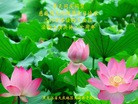 Published on 5/13/2012 ֹ,½󷨵ӹش󷨺鴫ʮ(105) - ִ
