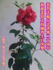 Published on 5/13/2012 ֹ,½󷨵ӹش󷨺鴫ʮ(128) - ִ
