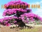 Published on 5/13/2012 ֹ,½󷨵ӹش󷨺鴫ʮ(128) - ִ
