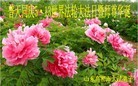 Published on 5/13/2012 ֹ,½󷨵ӹش󷨺鴫ʮ(128) - ִ
