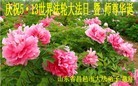 Published on 5/13/2012 ֹ,½󷨵ӹش󷨺鴫ʮ(128) - ִ
