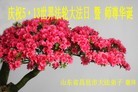 Published on 5/13/2012 ֹ,󷨵Ӻʦ𻪵߷ִ - ִ
