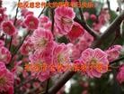 Published on 5/14/2012 ֹ,½󷨵Ӻʦ𻪵߷ִ(61) - ִ
