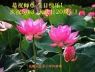 Published on 5/14/2012 ֹ,½󷨵Ӻʦ𻪵߷ִ(61) - ִ
