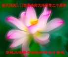 Published on 5/13/2012 ֹ,½󷨵ӹش󷨺鴫ʮ(94) - ִ
