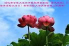 Published on 5/13/2012 ֹ,½󷨵ӹش󷨺鴫ʮ(94) - ִ

