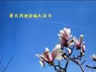 Published on 5/14/2012 ֹ,½󷨵Ӻʦ𻪵߷ִ(61) - ִ
