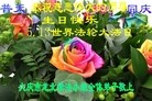 Published on 5/14/2012 ֹ,½󷨵Ӻʦ𻪵߷ִ(61) - ִ
