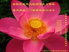 Published on 5/13/2012 ֹ,½󷨵ӹش󷨺鴫ʮ(128) - ִ
