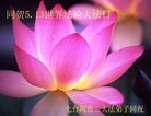 Published on 5/13/2012 ֹ,½󷨵ӹش󷨺鴫ʮ(155) - ִ
