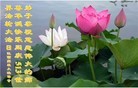Published on 5/13/2012 ֹ,½󷨵ӹش󷨺鴫ʮ(155) - ִ
