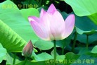 Published on 5/13/2012 ֹ,󷨵ӹطִ󷨺鴫ʮ - ִ
