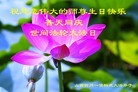 Published on 5/14/2012 ֹ,½󷨵Ӻʦ𻪵߷ִ(89) - ִ
