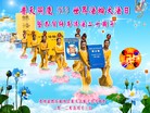 Published on 5/14/2012 ֹ,½󷨵Ӻʦ𻪵߷ִ(76)
