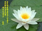Published on 5/14/2012 ֹ,½󷨵Ӻʦ𻪵߷ִ(76)
