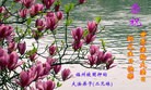 Published on 5/13/2012 ֹ,ԩ󷨵ӹطִ󷨺鴫ʮ - ִ
