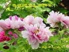 Published on 5/13/2012 ֹ,˹־ʦ - ִ
