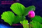 Published on 5/14/2012 ֹ,½󷨵Ӻʦ𻪵߷ִ(76)
