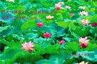 Published on 5/14/2012 ֹ,󷨵ӹʦ𻪵ߴ󷨺鴫ʮ - ִ
