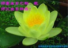 Published on 5/14/2012 ֹ,½󷨵Ӻʦ𻪵߷ִ(189) - ִ
