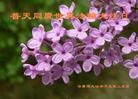 Published on 5/14/2012 ֹ,½󷨵Ӻʦ𻪵߷ִ(120) - ִ
